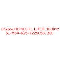 2250587300 ПОРШЕНЬ-ШТОК-10DX125L-M6X-625-1 Epiroc