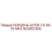 1613807300 ПОРШЕНЬ-ШТОК-ГА-55-75-МК3 Epiroc