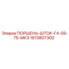 1613807300 ПОРШЕНЬ-ШТОК-ГА-55-75-МК3 Epiroc