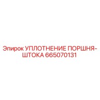 665070131 УПЛОТНЕНИЕ ПОРШНЯ-ШТОКА Epiroc