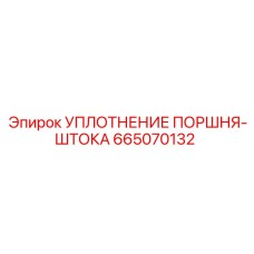 665070132 УПЛОТНЕНИЕ ПОРШНЯ-ШТОКА Epiroc