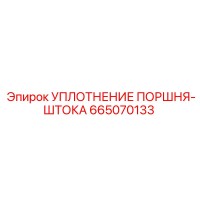 665070133 УПЛОТНЕНИЕ ПОРШНЯ-ШТОКА Epiroc