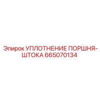 665070134 УПЛОТНЕНИЕ ПОРШНЯ-ШТОКА Epiroc