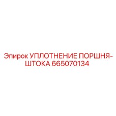 665070134 УПЛОТНЕНИЕ ПОРШНЯ-ШТОКА Epiroc