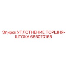 665070165 УПЛОТНЕНИЕ ПОРШНЯ-ШТОКА Epiroc