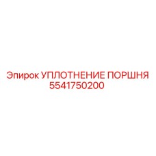 5541750200 УПЛОТНЕНИЕ ПОРШНЯ Epiroc