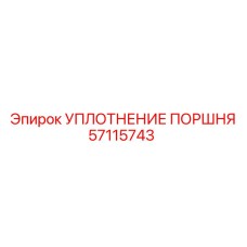 57115743 УПЛОТНЕНИЕ ПОРШНЯ Epiroc