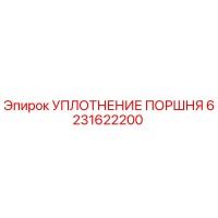 6231622200 УПЛОТНЕНИЕ ПОРШНЯ Эпирок