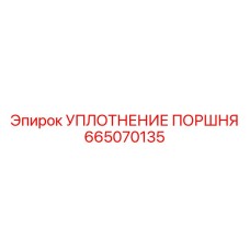 665070135 УПЛОТНЕНИЕ ПОРШНЯ Epiroc