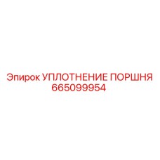 665099954 УПЛОТНЕНИЕ ПОРШНЯ Epiroc