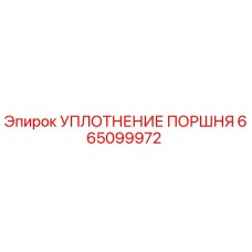 665099972 УПЛОТНЕНИЕ ПОРШНЯ Epiroc