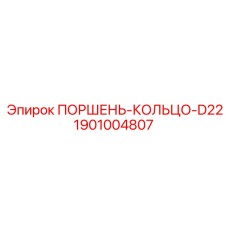 1901004807 ПОРШЕНЬ-КОЛЬЦО-D22 (Epiroc)