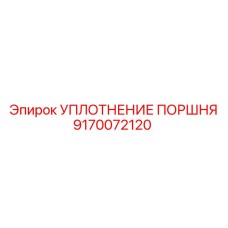 9170072120 УПЛОТНЕНИЕ ПОРШНЯ Epiroc
