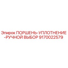9170022579 ПОРШЕНЬ-УПЛОТНЕНИЕ-РУЧНОЙ ВЫБОР Epiroc