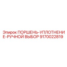 9170022819 ПОРШЕНЬ-УПЛОТНЕНИЕ-РУЧНОЙ ВЫБОР Epiroc