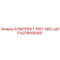 6219008300 КОМПЛЕКТ-PIST-SEG-ЦИЛ Epiroc
