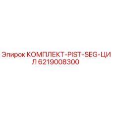 6219008300 КОМПЛЕКТ-PIST-SEG-ЦИЛ Epiroc