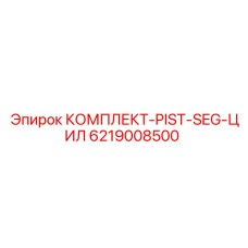 6219008500 КОМПЛЕКТ-PIST-SEG-ЦИЛ Epiroc