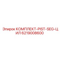 6219008600 КОМПЛЕКТ-PIST-SEG-ЦИЛ Epiroc