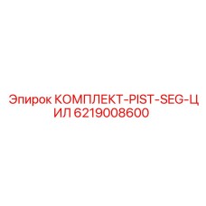6219008600 КОМПЛЕКТ-PIST-SEG-ЦИЛ Epiroc