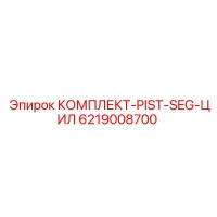 6219008700 КОМПЛЕКТ-PIST-SEG-ЦИЛ Epiroc