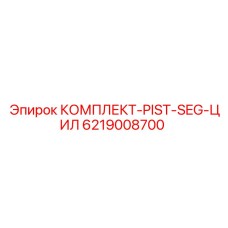 6219008700 КОМПЛЕКТ-PIST-SEG-ЦИЛ Epiroc