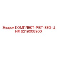 6219008900 КОМПЛЕКТ-PIST-SEG-ЦИЛ Epiroc