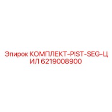 6219008900 КОМПЛЕКТ-PIST-SEG-ЦИЛ Epiroc