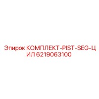 6219063100 КОМПЛЕКТ-PIST-SEG-ЦИЛ Epiroc