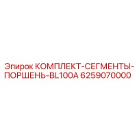 6259070000 КОМПЛЕКТ-СЕГМЕНТЫ-ПОРШЕНЬ-BL100A Epiroc