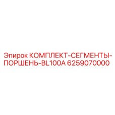 6259070000 КОМПЛЕКТ-СЕГМЕНТЫ-ПОРШЕНЬ-BL100A Epiroc
