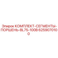 6259070100 КОМПЛЕКТ-СЕГМЕНТЫ-ПОРШЕНЬ-BL75-100B Epiroc