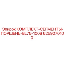 6259070100 КОМПЛЕКТ-СЕГМЕНТЫ-ПОРШЕНЬ-BL75-100B Epiroc