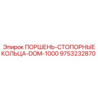 9753232870 ПОРШЕНЬ-СТОПОРНЫЕ КОЛЬЦА-DOM-1000 Epiroc