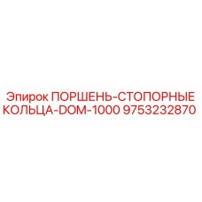 9753232870 ПОРШЕНЬ-СТОПОРНЫЕ КОЛЬЦА-DOM-1000 Epiroc