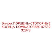 9753232873 ПОРШЕНЬ-СТОПОРНЫЕ КОЛЬЦА-DOMINATOR880 Epiroc