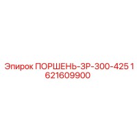 1621609900 ПОРШЕНЬ-ЗР-300-425 Epiroc