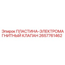 2657761462 ПЛАСТИНА-ЭЛЕКТРОМАГНИТНЫЙ КЛАПАН | Epiroc