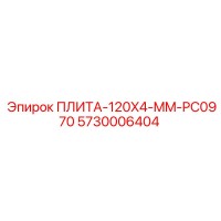 5730006404 ПЛИТА-120X4-MM-PC0970 Epiroc