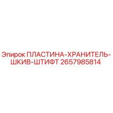 2657985814 ПЛАСТИНА-ХРАНИТЕЛЬ-ШКИВ-ШТИФТ Epiroc