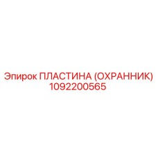 1092200565 ПЛАСТИНА (ОХРАННИК) Эпирок