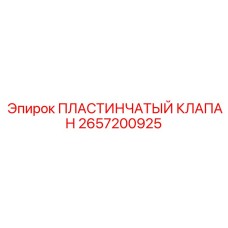 2657200925 ПЛАСТИНЧАТЫЙ КЛАПАН Epiroc