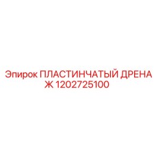 1202725100 ПЛАСТИНЧАТЫЙ ДРЕНАЖ Epiroc