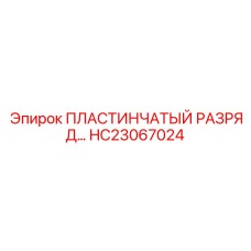 HC23067024 ПЛАСТИНЧАТЫЙ РАЗРЯД Epiroc