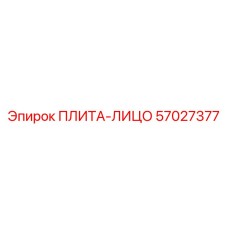 57027377 ПЛИТА-ЛИЦО Epiroc