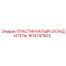 1614747603 ПЛАСТИНЧАТЫЙ ОХЛАДИТЕЛЬ Epiroc