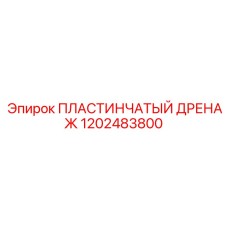 1202483800 ПЛАСТИНЧАТЫЙ ДРЕНАЖ Epiroc