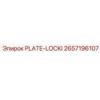2657196107 PLATE-LOCKI Epiroc