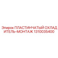 1310035400 ПЛАСТИНЧАТЫЙ ОХЛАДИТЕЛЬ-МОНТАЖ Epiroc