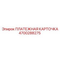 4700288275 ПЛАТЕЖНАЯ КАРТОЧКА Epiroc